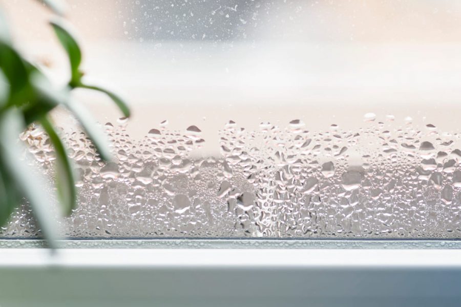 bforder homes humidity tablet